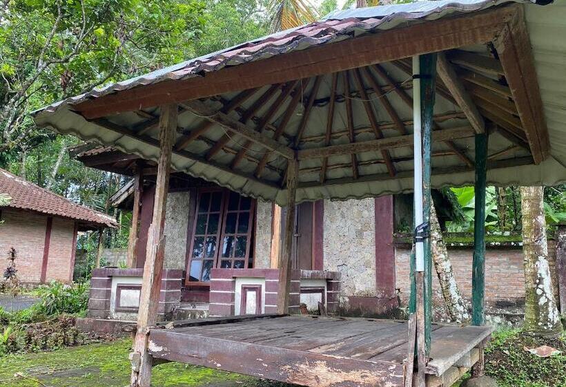 Отель Oyo 93638 Lotus Guest House