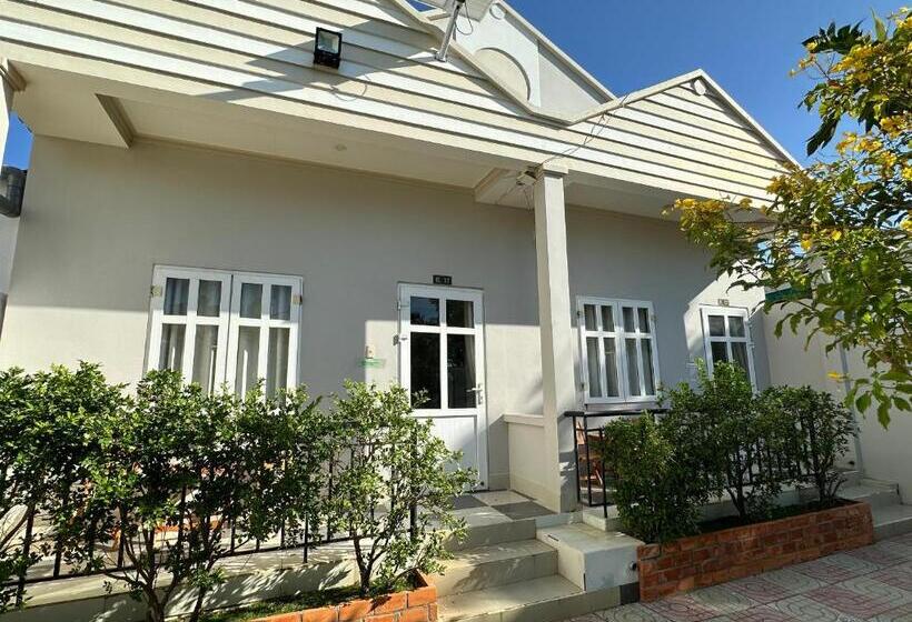 هتل Pharos Guesthouse