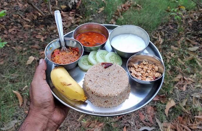 酒店 Royal Grande Farm Stay