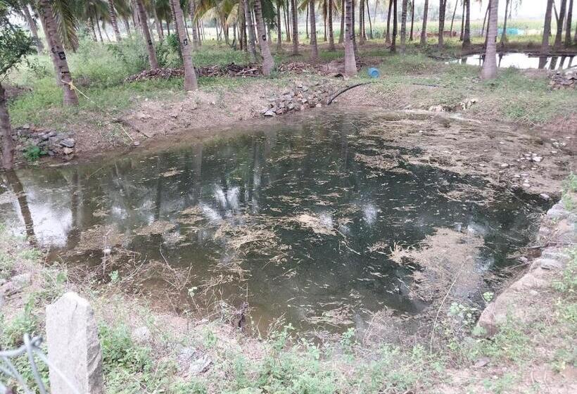 酒店 Royal Grande Farm Stay