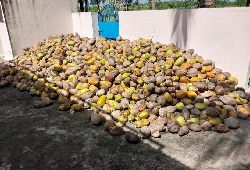 酒店 Royal Grande Farm Stay