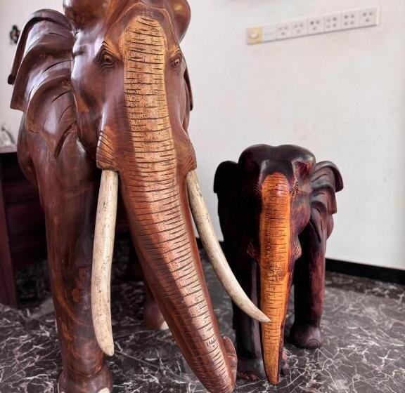 בית מלון כפרי Sanhida Polonnaruwa