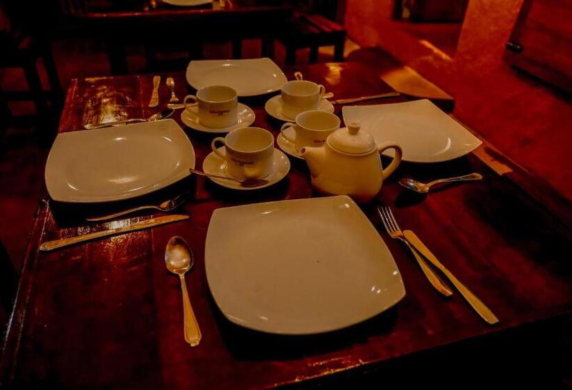 Отель The Rainforest Hideaway