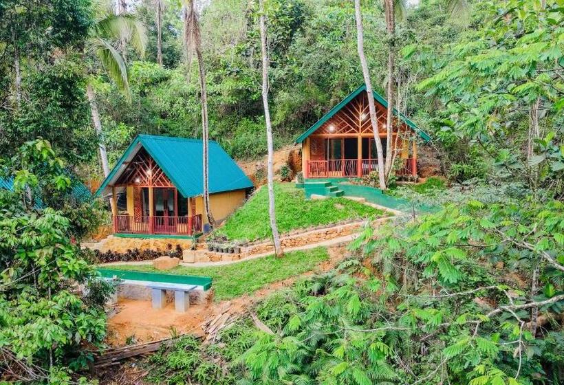 Отель The Rainforest Hideaway