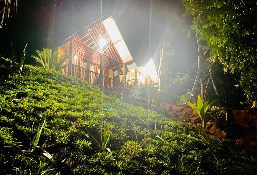 Отель The Rainforest Hideaway