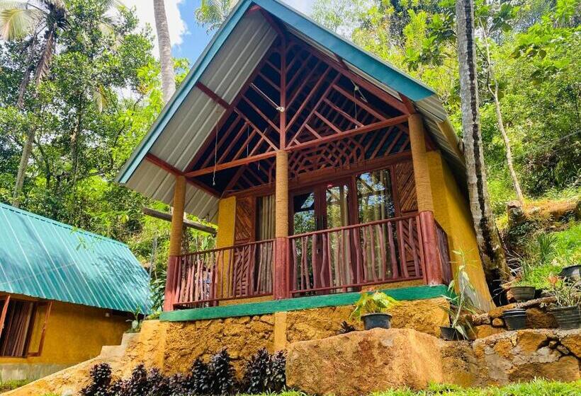 Отель The Rainforest Hideaway
