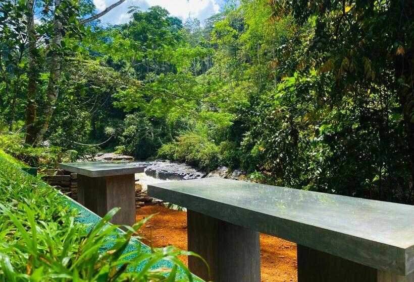 Отель The Rainforest Hideaway