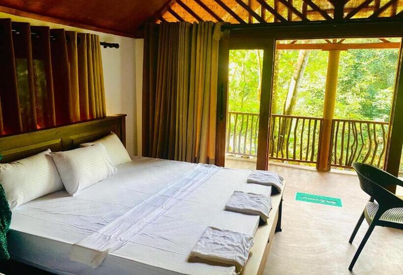 Отель The Rainforest Hideaway