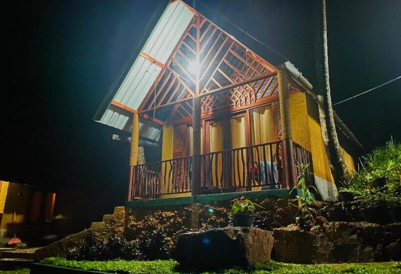 Отель The Rainforest Hideaway