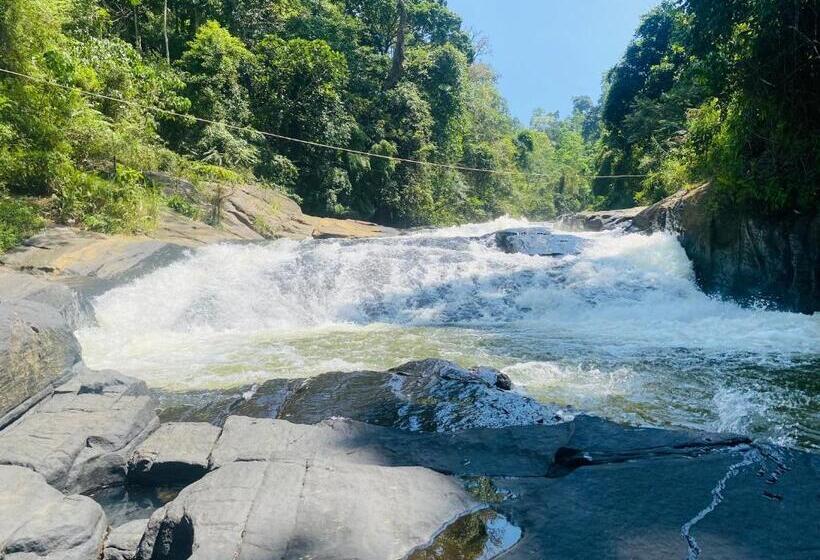 Отель The Rainforest Hideaway