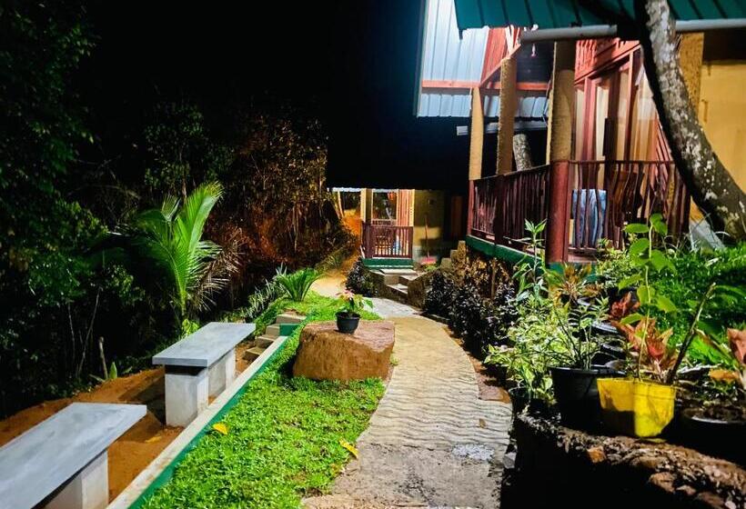 Отель The Rainforest Hideaway