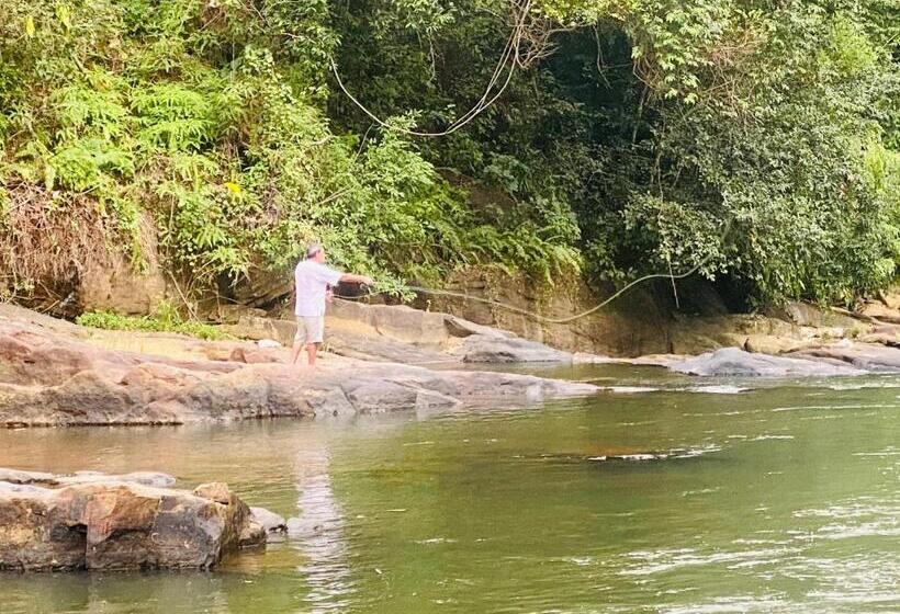 Отель The Rainforest Hideaway