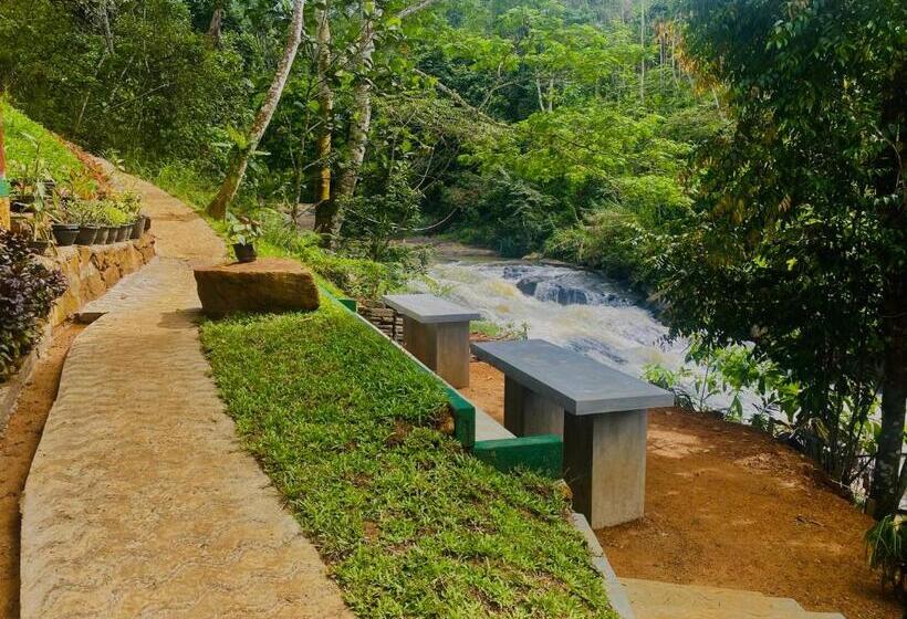 Отель The Rainforest Hideaway