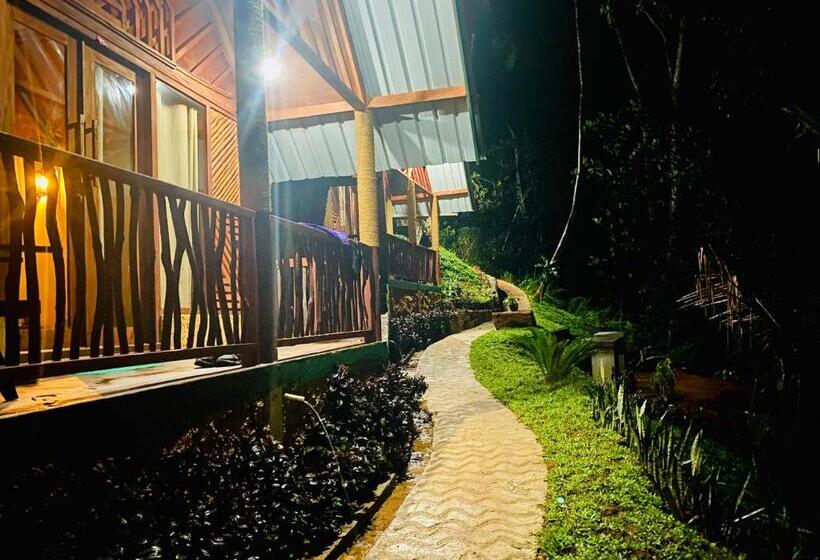 Отель The Rainforest Hideaway