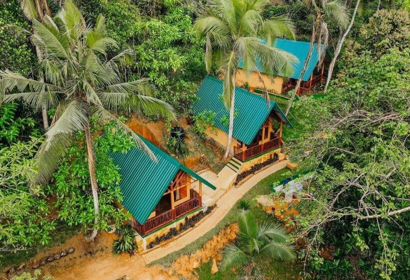 Отель The Rainforest Hideaway