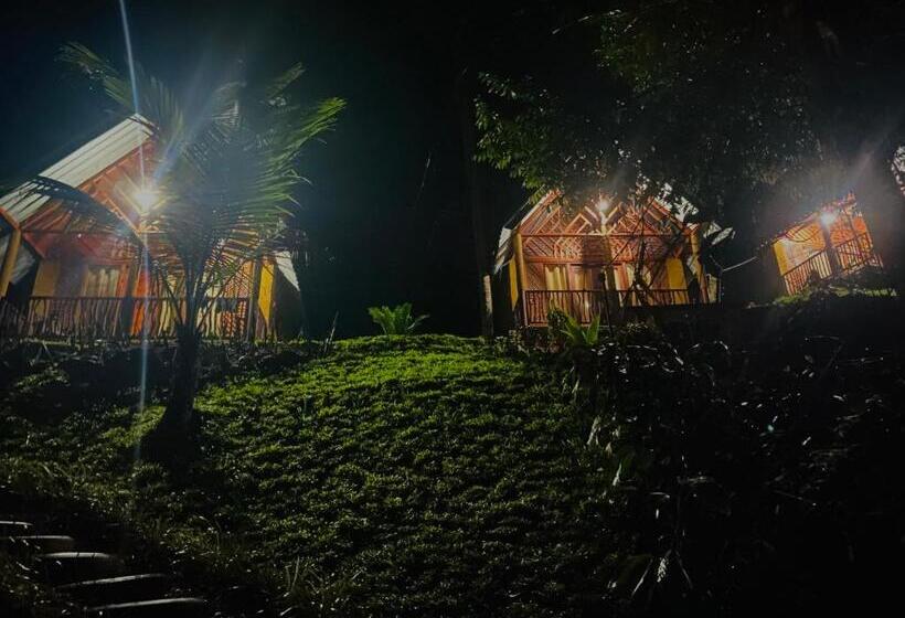 Отель The Rainforest Hideaway