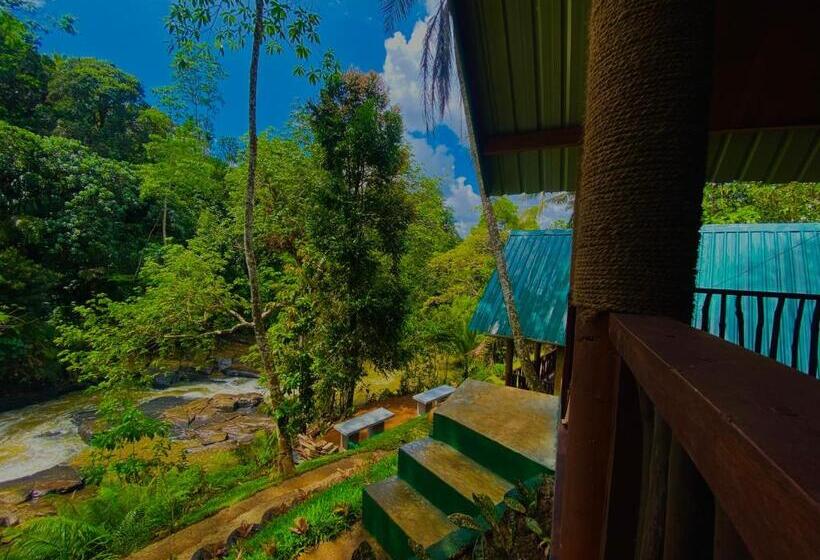 Отель The Rainforest Hideaway