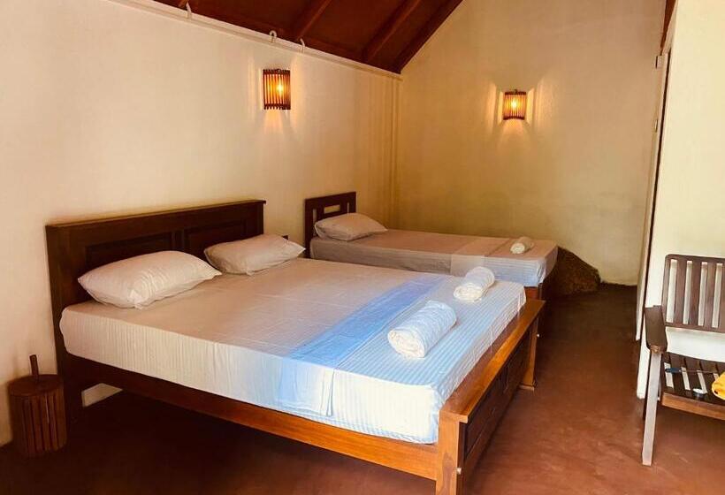 Отель The Rainforest Hideaway