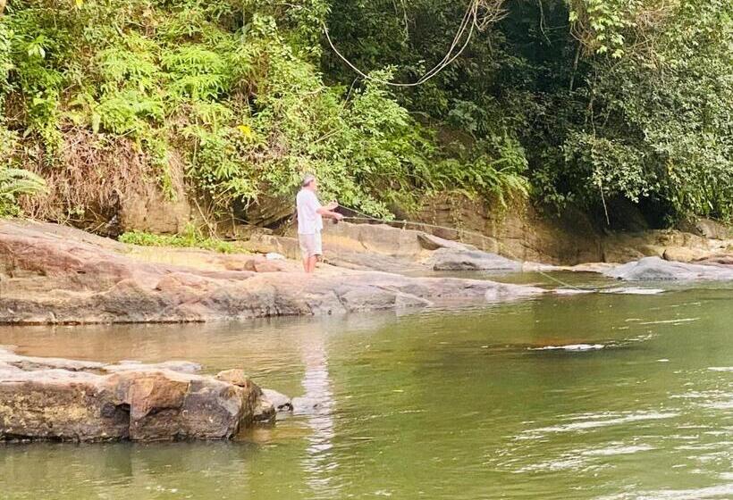 Отель The Rainforest Hideaway