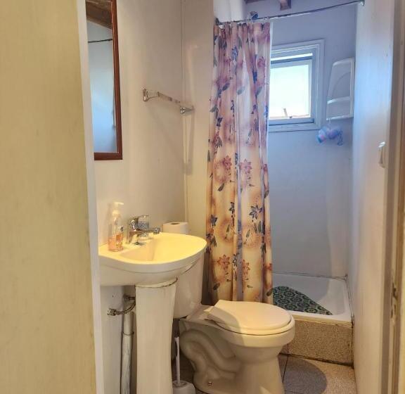 بنسيون Hospedajes El Bosque