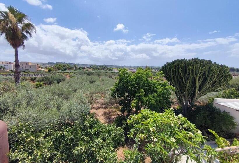 ペンション L Araucaria Bnb