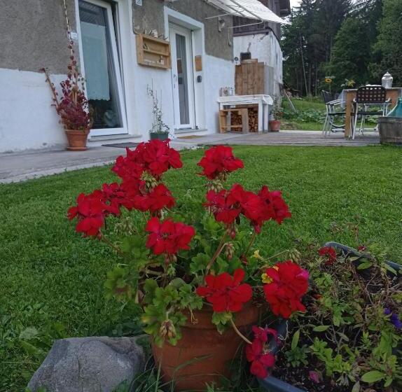 פנסיון Pedibosco Orange