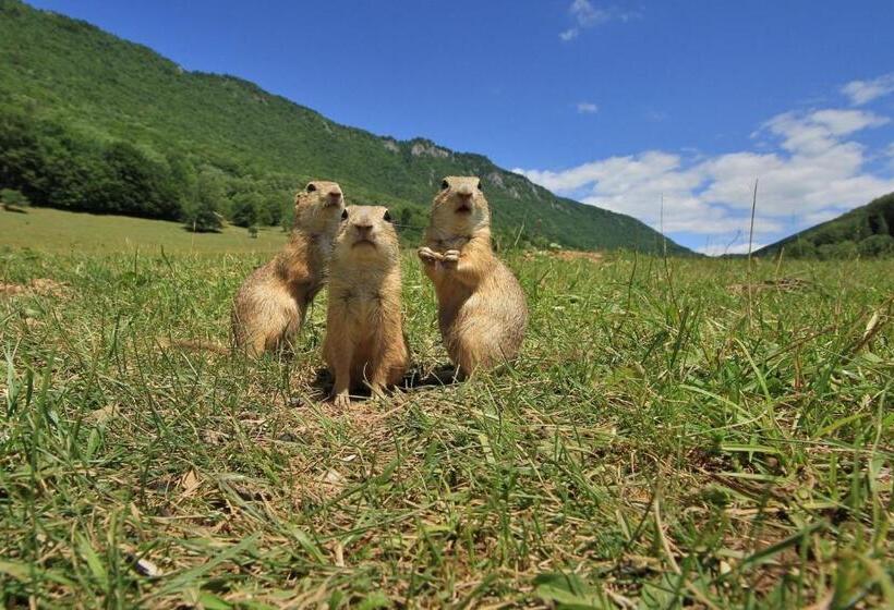 פנסיון Penzión Zbojnícky Halaš