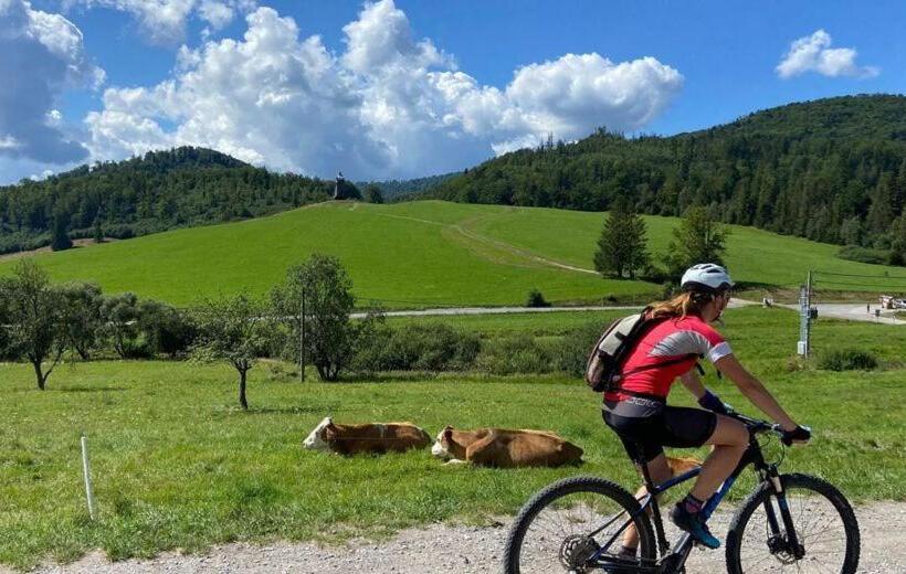 פנסיון Penzión Zbojnícky Halaš