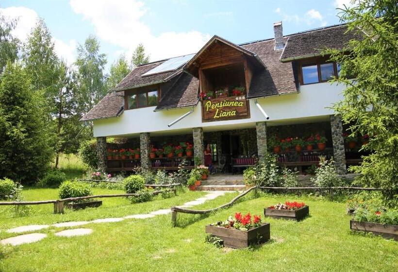 Pensiunea Liana