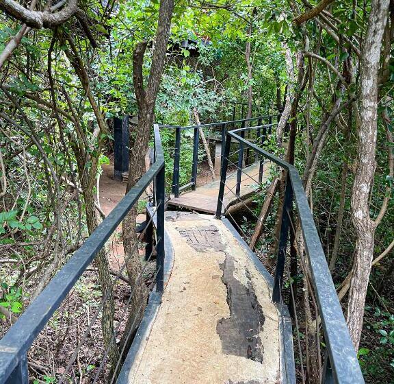 리조트 The Wild Yala