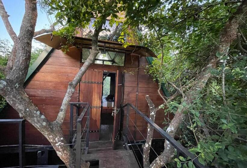 리조트 The Wild Yala