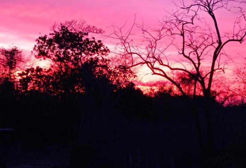 리조트 The Wild Yala