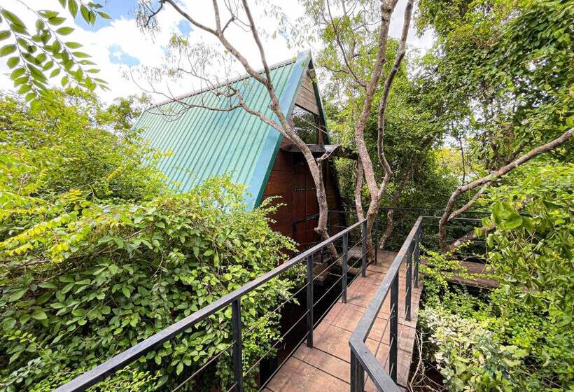 리조트 The Wild Yala