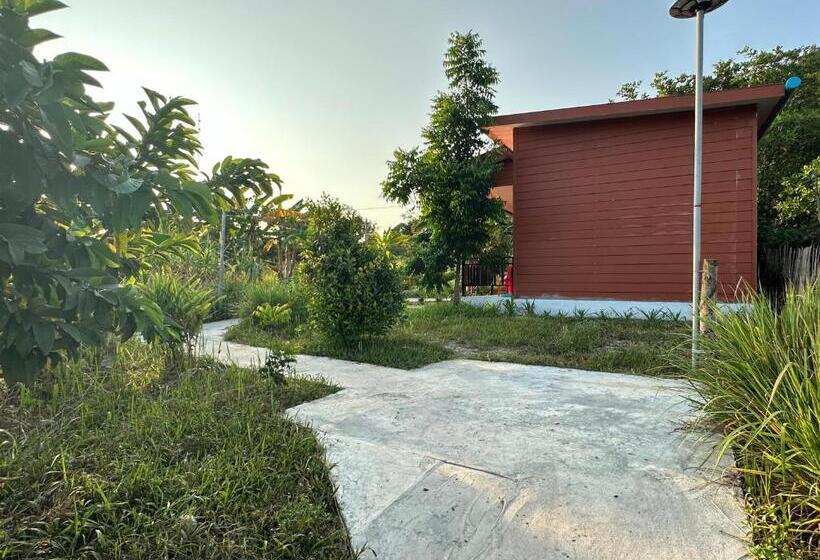 فندق صغير Maloop Cafe Bungalow