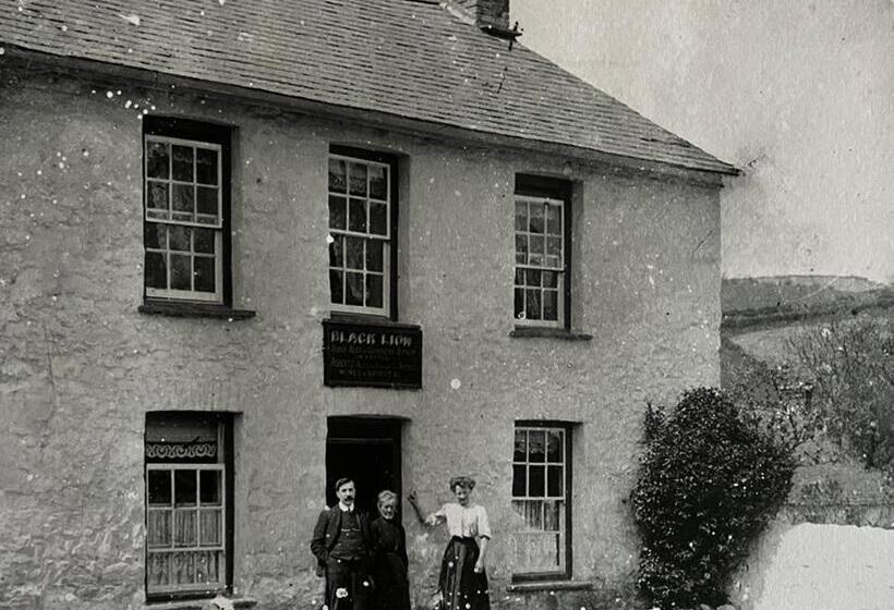 הוסטל The Welsh Black Inn