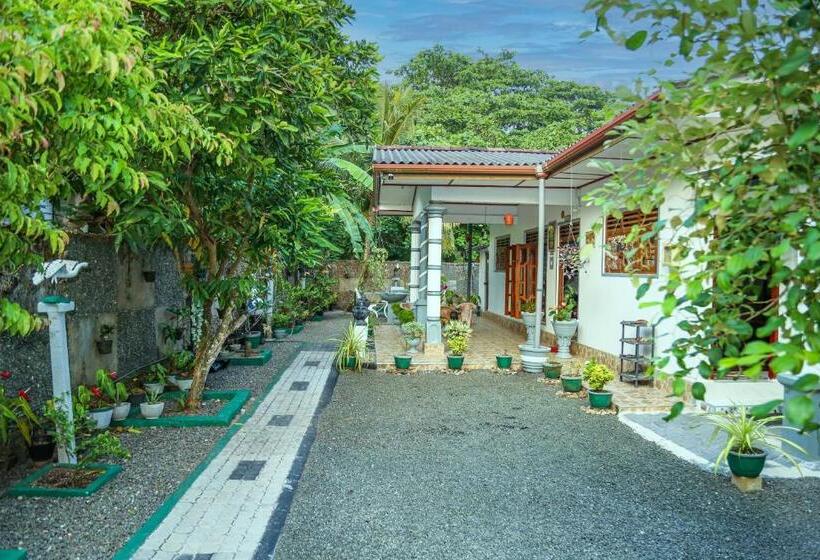 민박 Avian Villa Hikkaduwa