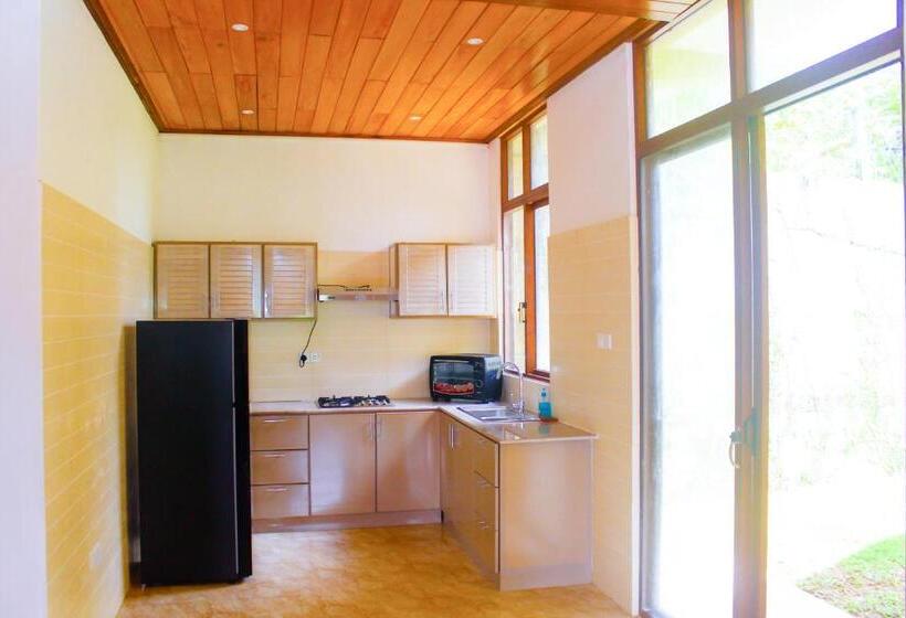 Bed and Breakfast Camellia Rise