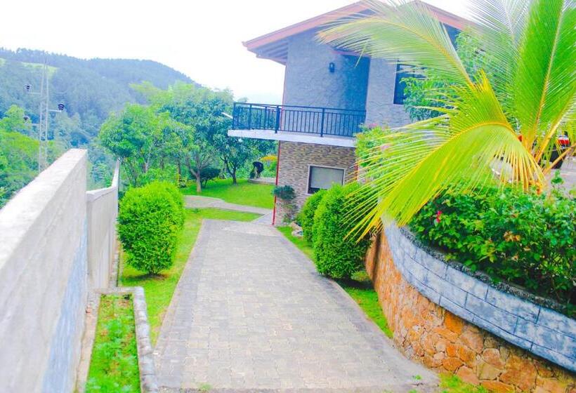 Bed and Breakfast Camellia Rise