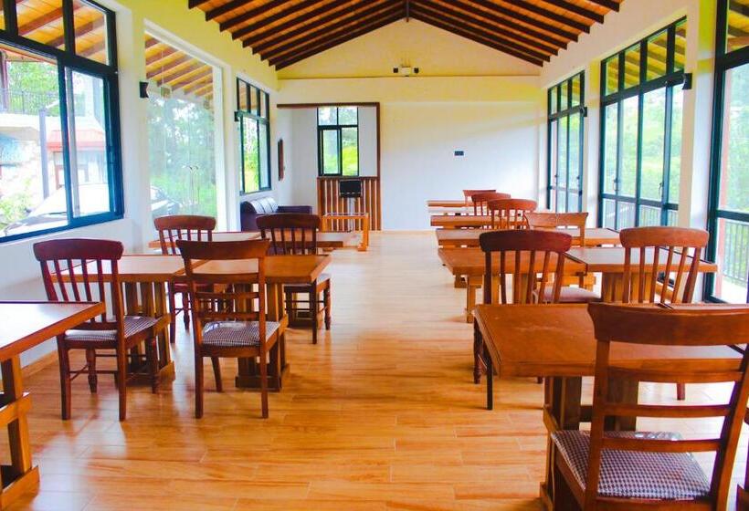 Bed and Breakfast Camellia Rise