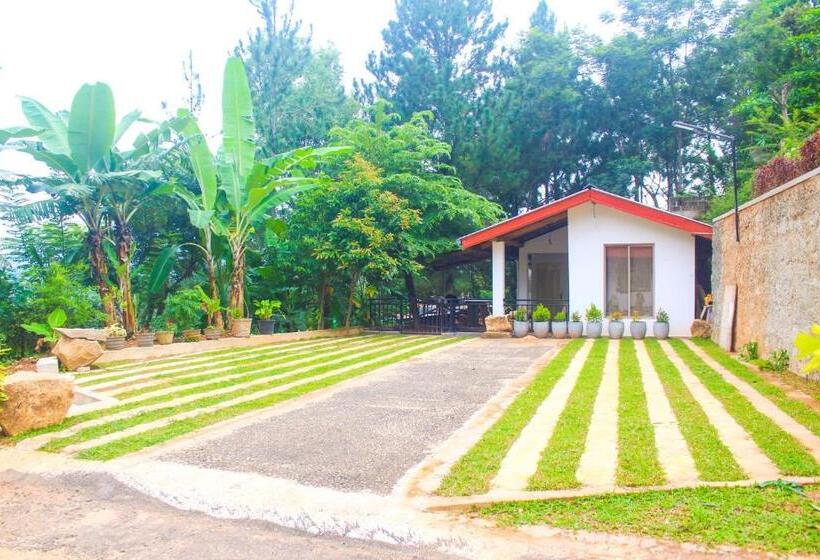 Bed and Breakfast Camellia Rise