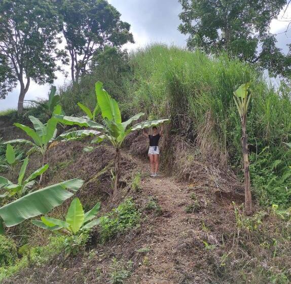 Bed and Breakfast Goa Walet Cottage