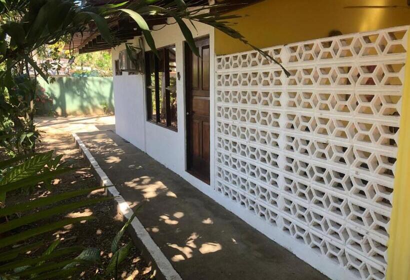 مبيت وإفطار Hibiscus