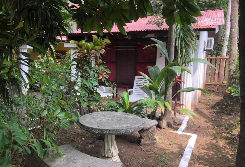 مبيت وإفطار Hibiscus