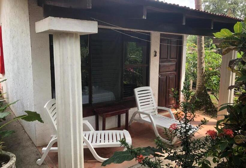 مبيت وإفطار Hibiscus