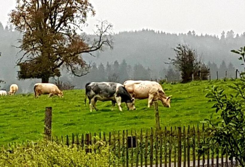 צימר Le Lodge Des Flâneurs