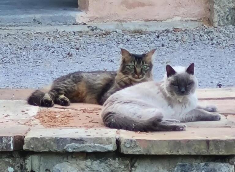 צימר Parc De Coulassy