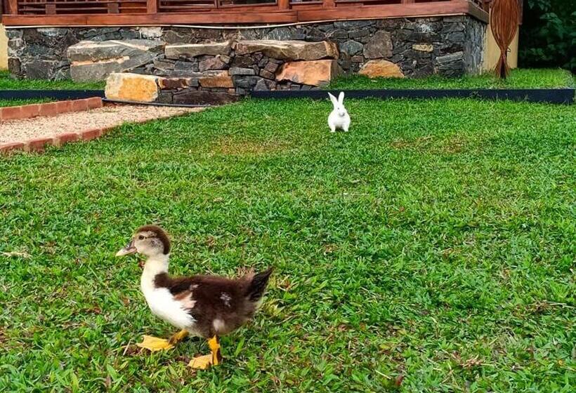 민박 Weligama Third Eye Resort