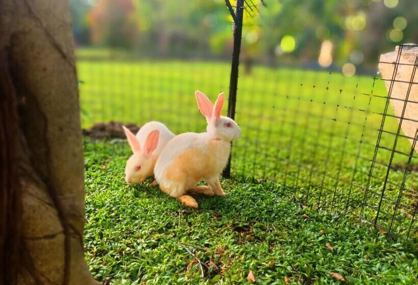 민박 Weligama Third Eye Resort