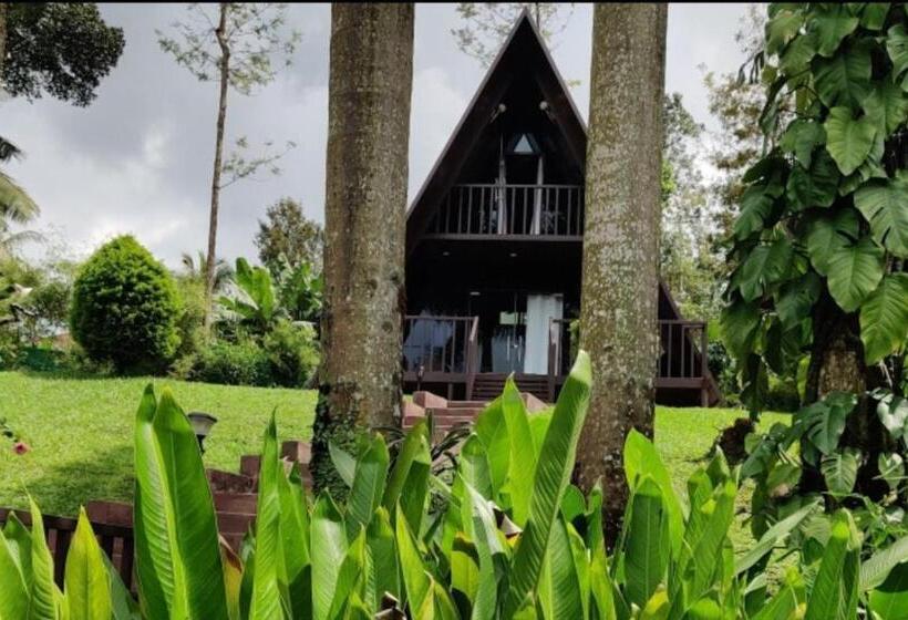 酒店 Chandramukuta Retreats By Stayapart