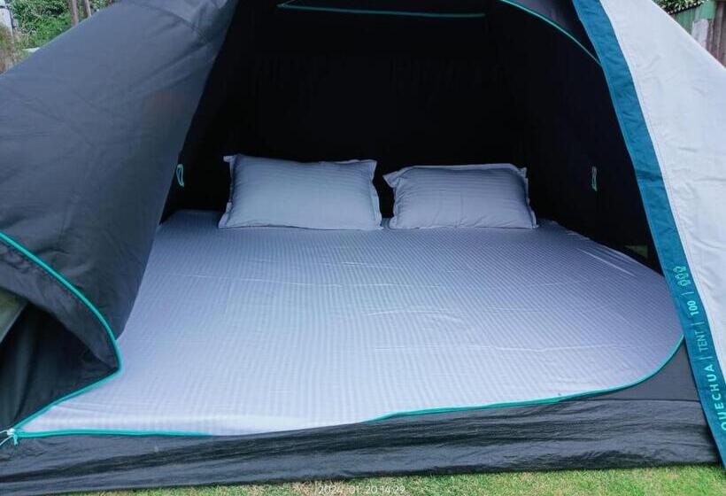 酒店 Cloudy Court Resort